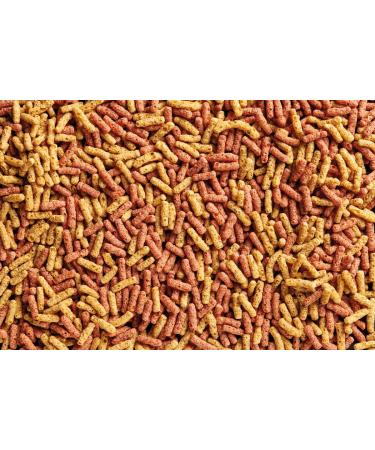 OASE Dynamix Sticks Mix 1 L Fish Food Pond Fish Food Ideal for Mixed Natural and Red Colored Fish Regular Growth - Buy Online on GoSupps.com