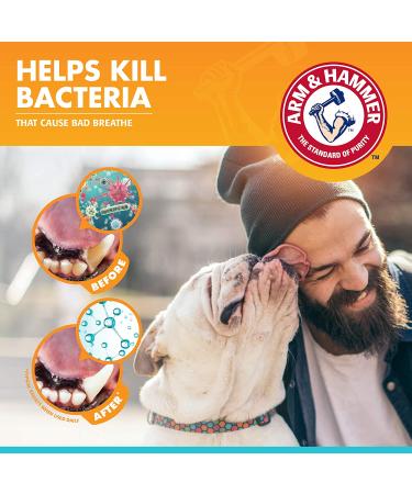 Arm & Hammer Fresh Breath Dental Spray for Dogs - Mint 4 fl oz | Best Oral Care - Buy Online on GoSupps.com