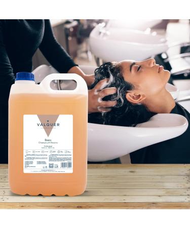Valquer Profesional Shampoo Ph Neutral Revitalizing with Shine and Pro-Vitamin B5 for Hair Salon 5000 ml - Buy Online on GoSupps.com