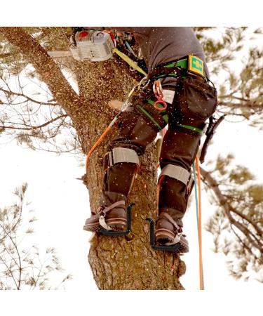 Jackfruit Tree Climbing Nails 16PCs | Climbing Crampons for Tree Climbing Survival & Fruit Picking - Buy Online on GoSupps.com