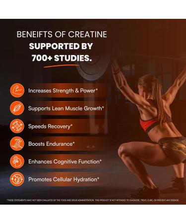 MaxOut360 Creapure Creatine Monohydrate Powder 60 Servings Unflavored NSF Certified Creatine for Muscle Growth Strength & Recovery Pure German Creatine Monohydrate for Women & Men - Buy Online on GoSupps.com