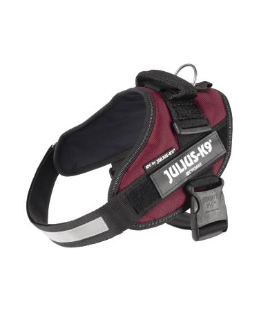 IDC Powerharness Size: M/0 Bordeaux Bordeaux M/0