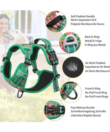Premium Heele Dog Crockery & Adjustable Reflective Harness for Medium Dogs - Comfortable Padded Design in Flower Grass Green - Buy Online on GoSupps.com