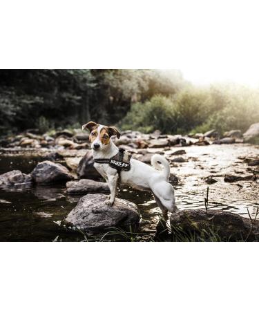 K9 Powerharness L/1 - Camouflage | Durable & Comfortable Dog Harness for International Shipping - Buy Online on GoSupps.com