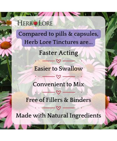 Herb Lore Organic Echinacea Tincture Drops for Kids & Adults USDA Organic Liquid Echinacea Angustifolia & Purpurea Root Extract Alcohol-Free Immune Support (4 fl oz) 4 Fl Oz (Pack of 1) - Buy Online on GoSupps.com