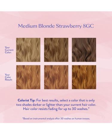 eSalon Permanent Hair Color Kit - Medium Blonde Strawberry 8GC | Ammonia-Free Dye for 100% Gray Coverage | Professional-Grade Hair Care for All Hair Types - Buy Online on GoSupps.com