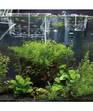 Qguai Fish Breeding Box | Perfect Tank Divider for Aggressive Fish | Nursery & Hatchery for Injured/Shrimp/Cichlids | Breeder Incubator for Eggs & Baby Fish - S (5.3*2.7*2.9) - Buy Online on GoSupps.com