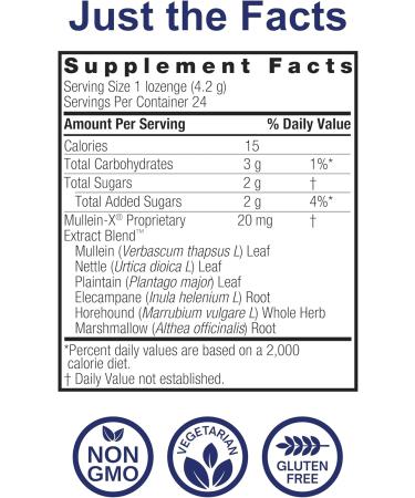 Nature's Answer Mullein X Respiratory Soothing Throat Lozenges 24 Count Alcohol Free Herbal Cough Support with Mullein Marshmallow English Ivy & Honey Non GMO Gluten Free - Buy Online on GoSupps.com
