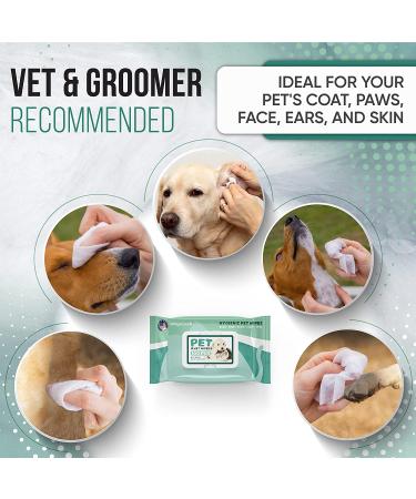 MAGICARE Dog Cleaning Wipes Bundle with Vitamin E & Aloe Vera - Large Pet Wipes, Vet Recommended - 4 Packs (400 pcs) - Buy Online on GoSupps.com