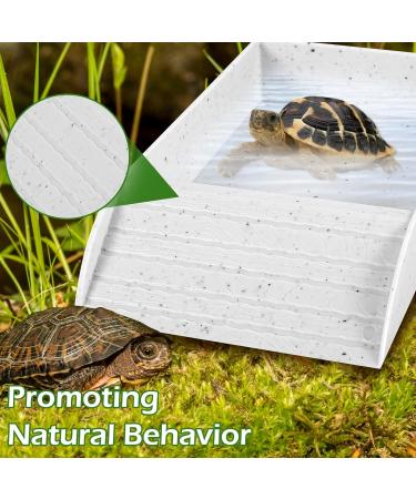 Tortoise Water Dish Reptile Water Food Bowls with Anti-Slip Ramp Tortoise Bath Dish Reptile Feeding Box Dish Plastic Tortoise Water Bowl Tortoise Habitat Accessories for Basking Feeding Bathing Small: 30.5x14.8x5.8cm Granite Color - Buy Online on GoSupps.com