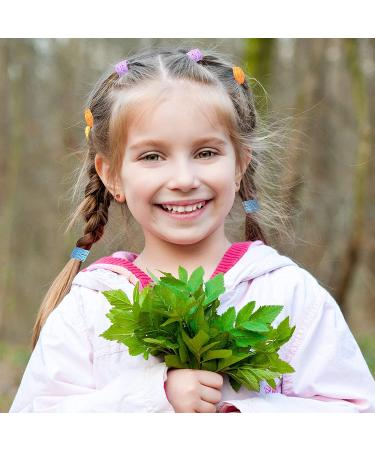 1000 Mini Rubber Bands for Kids Hair Braids - Soft Elastic in Vibrant Colors - Buy Online on GoSupps.com