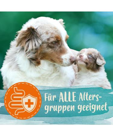 Ida Plus Darmbiotic Probiotics for Dogs - 120 Tablets for Intestinal Health Diarrhea Recovery Immune Support & Digestion Regulation - Buy Online on GoSupps.com