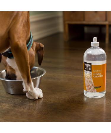 Better Life Citrus Mint Floor Cleaner 32 Fl Oz - Pack of 2 - Buy Online on GoSupps.com