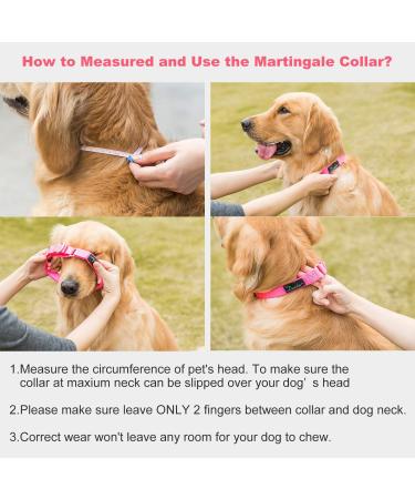 Dazzber Martingale Dog Collar - Large Adjustable Durable Nylon in Hot Pink - 1 Inch Wide Strong & Hard-Wearing - Buy Online on GoSupps.com