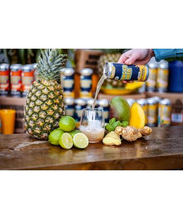 The Root Co Ginger Beer 12 x 230ml Spicy East African Root Ginger Beer Natural Cold Pressed & Cloudy - Buy Online on GoSupps.com