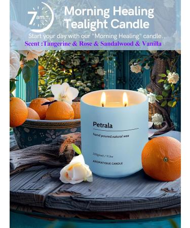 Strong Scented Sandalwood Candle - 11.3 Oz | 50 Hours Burn Time | Elegant Home Decor & Gift for Women - Buy Online on GoSupps.com