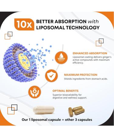 Liposomal Ginger with Cinnamon Peppermint Turmeric & Black Pepper Supports Digestive Wellness & Immune Health -150 Capsules 150 count (pack of 1)_ - Buy Online on GoSupps.com