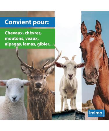 imima EQUIBLOCK Mineral Lickstone Horse Lickstone Set 4 x 3 kg Lickstone for Horses Goats Game and Beef Salt Lickstone Mineral Stone - Buy Online on GoSupps.com