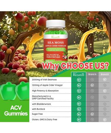 2 Pack Apple Cider Vinegar Gummies ACV with Sea Moss Gummies for Metabolism Digestion Detox Gut & Immune Health Apple Flavored -120 Count 60 Count (Pack of 2) - Buy Online on GoSupps.com