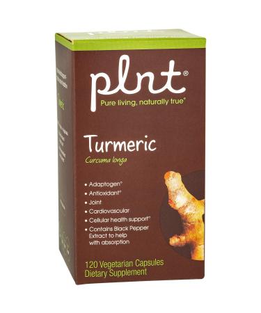 plnt Turmeric - with Natural  Non-GMO Indian Turmeric Root  Supports Joint Mobility  Cellular Health Support & Provides Antioxidant Benefits (120 Vegetarian Capsules) 120 Count (Pack of 1)