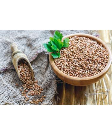 Organic Buckwheat Kasha 8oz - Toasted Whole Groats, Non-GMO, Kosher - Sirtfood Superfood - Buy Online on GoSupps.com