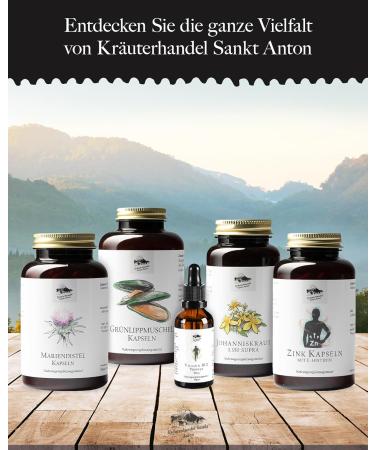 Ginkgo Biloba 7 500 Supra Capsules - German Premium Quality - 360 High-Dose Laboratory Tested - KR UTERHANDEL SANKT ANTON  - Buy Online on GoSupps.com