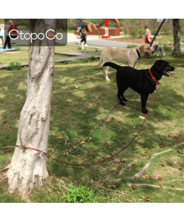 CTOPOGO 10FT/16FT/33FT Dog Tie Out Cables - Heavy-Duty Pet Leads for Dogs Up to 125 lbs - Reliable Tie-Out Linen for Small & Medium Dogs - 5m Blue - Buy Online on GoSupps.com