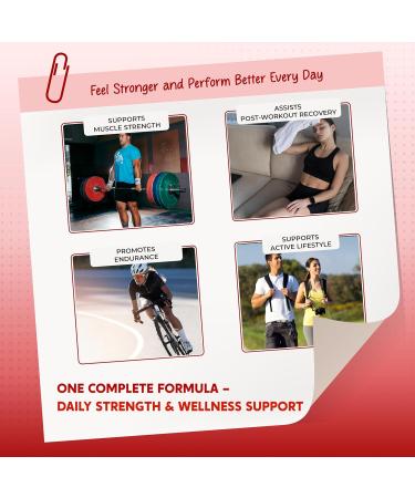 Ultra HMB with Vitamin D3 6000 IU -Supports Muscle Recovery Bone Health & Healthy Aging - Includes Creatine Beta-Alanine L-Carnitine - 150 Capsules 150 count (pack of 1) - Buy Online on GoSupps.com