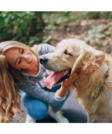 Beaphar 11429 Multi-VIT Dog with Carnitine 50 ML - Buy Online on GoSupps.com