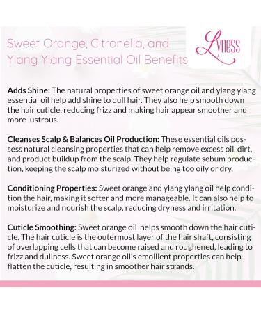 Lyness Sweet Orange Shampoo & Conditioner Bar Set | Organic Eco-Friendly & Plastic-Free | Best Natural Hair Care - Buy Online on GoSupps.com