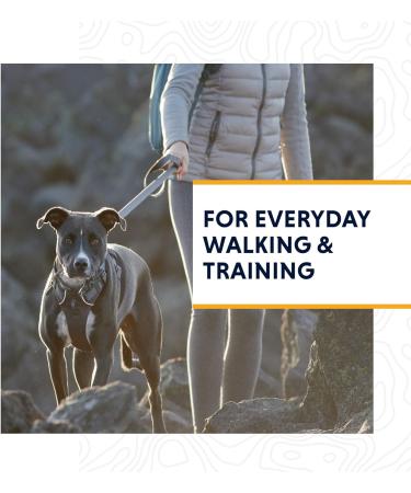 Buy RUFFWEAR Front Range Dog Harness | Reflective Padded No-Tug Twilight Grey XS - Best for Small Dogs - Buy Online on GoSupps.com