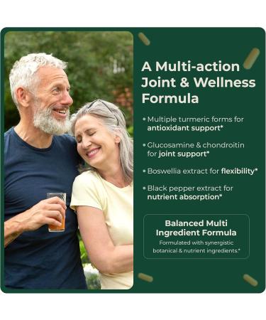 Veridda Longevity Platinum Turmeric Blend - with Glucosamine and Boswellia - Buy Online on GoSupps.com