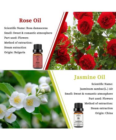 Yethious Rose & Jasmine Essential Oil Set - 2 Pack Organic Aromatherapy Oils for Diffuser, Perfume, Candle Making - 10ML Each - Buy Online on GoSupps.com