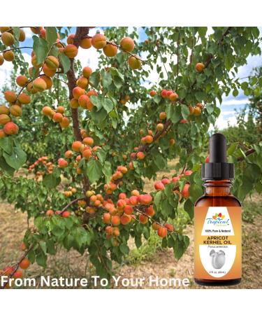 100% Pure Organic Apricot Kernel Oil - Cold-Pressed 2 oz from Turkey | Ideal for Massage Skincare Hair & Aromatherapy - Buy Online on GoSupps.com