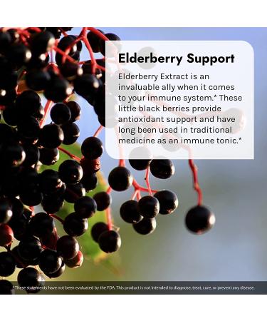Irwin Naturals Immuno-Shield with Elderberry - 60 Liquid Soft-Gels for Global Wellness - Buy Online on GoSupps.com