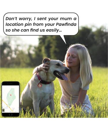 Pawfinda II AI Next Gen AI Digital Personalised Cat Dog Pet Engraved ID Tag with CONTACTLESS NFC and QR Code Technology Now with PawVoice AI. UK Developed Designed and Supported. Flash Paw - Buy Online on GoSupps.com