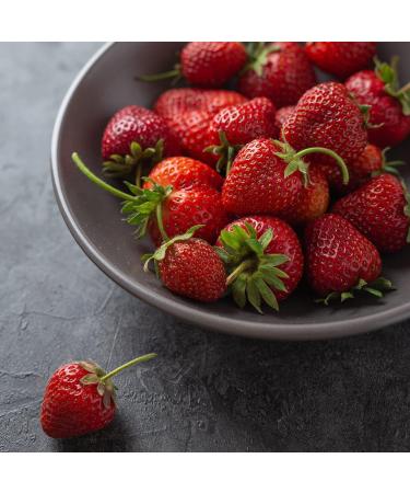 Earthbreath Raw Honey with Strawberries - 250g - Jams with Multiple Flavours - Sea Buckthorn - Ginger - Rowanberries - BlackCurrant - Cranberries - Lingonberries - No Additives Sugar-Free - Buy Online on GoSupps.com