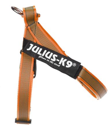 Julius-K9 XS/Mini-Mini Orange-Grey Belt Harness | Durable Stylish Dog Gear for International Shipping - Buy Online on GoSupps.com