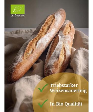 Bakery Spiegelhauer Bio Lievito Madre 200g - Fresh Organic Wheat Sourdough for Bread Rolls Pizza & Ciabatta | Yeast-Free Baking - Buy Online on GoSupps.com
