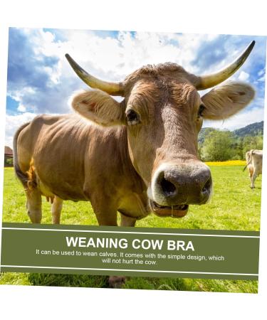 Buy Milk Hood for Cattle - Durable Plastic Cow Breast Protector & Weaner | Outdoor Farm Supplies - Buy Online on GoSupps.com