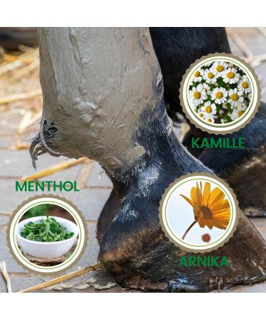 acetic clay horse clay + refreshing horse balm I gel arnica ointment mineral clay I clay cooling paste I gel + horse ointment I gel muscles tendons joints 1.5 kg 500 ml - Buy Online on GoSupps.com