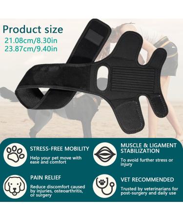 Dog Knee Brace for Torn Knee Brace for Dogs Dog Knee Braces for Back Leg ACL Hind Leg Adjustable Dog Acl Knee Brace Support for Large and Small Dogs with ACL CCL Cruciate Ligament Injuries - Buy Online on GoSupps.com