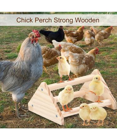 GINTUTO Pine Wooden Chick Jungle Gym Roosting Bar - Small Chicken Perch Toys for Coop and Brooder - Ideal for Large Bird Baby Chicks and Parrots - Buy Online on GoSupps.com