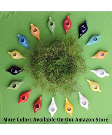 Buy Ancient Impex Ceramic Neti Pot for Nasal Cleansing - Travel-Friendly Design & 5 Sachets of Neti Salt | Natural Relief for Sinus & Congestion (Red - Buy Online on GoSupps.com