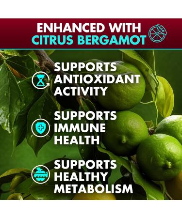 Secret Element Berberine HCL Supplement 1500 mg Vegan Capsules with Beet Root Citrus Bergamot & Black Currant Non-GMO 180 Capsules Pack of 2 180 Count (Pack of 2) - Buy Online on GoSupps.com