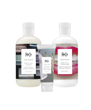 R+Co Television Perfect Hair Shampoo and Conditioner Set (8.5 Oz) + Cool Wind pH Travel Size (.5 Oz) | Body + Shine + Smoothing for All Hair Types | Vegan + Cruelty-Free |