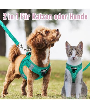 Dog Harness for Small Dogs - Green Padded Puppy Harness | XXS XXS - Comfortable & Adjustable - Buy Online on GoSupps.com