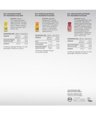 Kloster Kitchen Ginger Tasting Kit SI Size 1 x 360 ml + 6 x 30 ml with real ginger pieces I Organic vegan shot gift set I sweet spicy and with natural sweetness - Buy Online on GoSupps.com