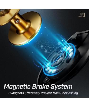 Piscifun Alijoz Baitcasting Reel Size 300 | Aluminum Frame, 33Lbs Max Drag, 5.9:1/8.1:1 Gear Ratio | Freshwater & Saltwater Casting Reel in Gray & Golden - 8.1:1 Right Hand Retrieve - Buy Online on GoSupps.com