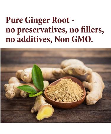 The Spice Way Ginger Powder (8 oz) - Pure Ground Ginger Root for Cooking and Baking - Buy Online on GoSupps.com